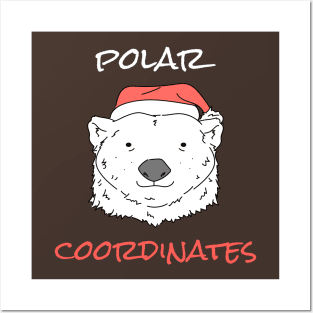 Polar Coordinates Posters and Art